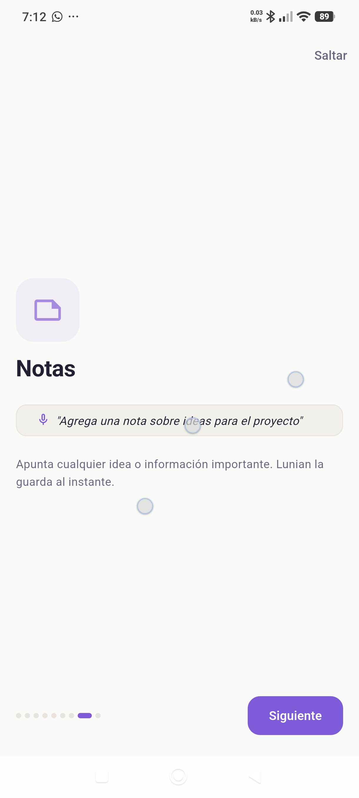 Pantalla de Notas en Lunian Assistant